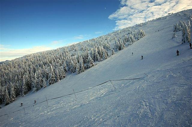 Osrodek Beskid Fizjo & Spa Korbielow Bagian luar foto